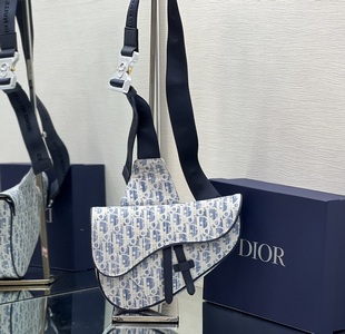 DIOR Handbags 1057